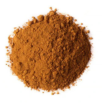 Cinnamon Powder 100gm TSM