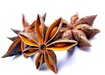 Anistar Seeds 100gm TSM