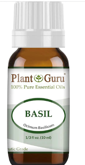 Essential Oil Basil 10ml