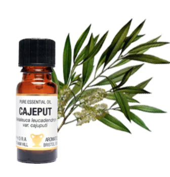 Essential Oil Cajeput 10ml